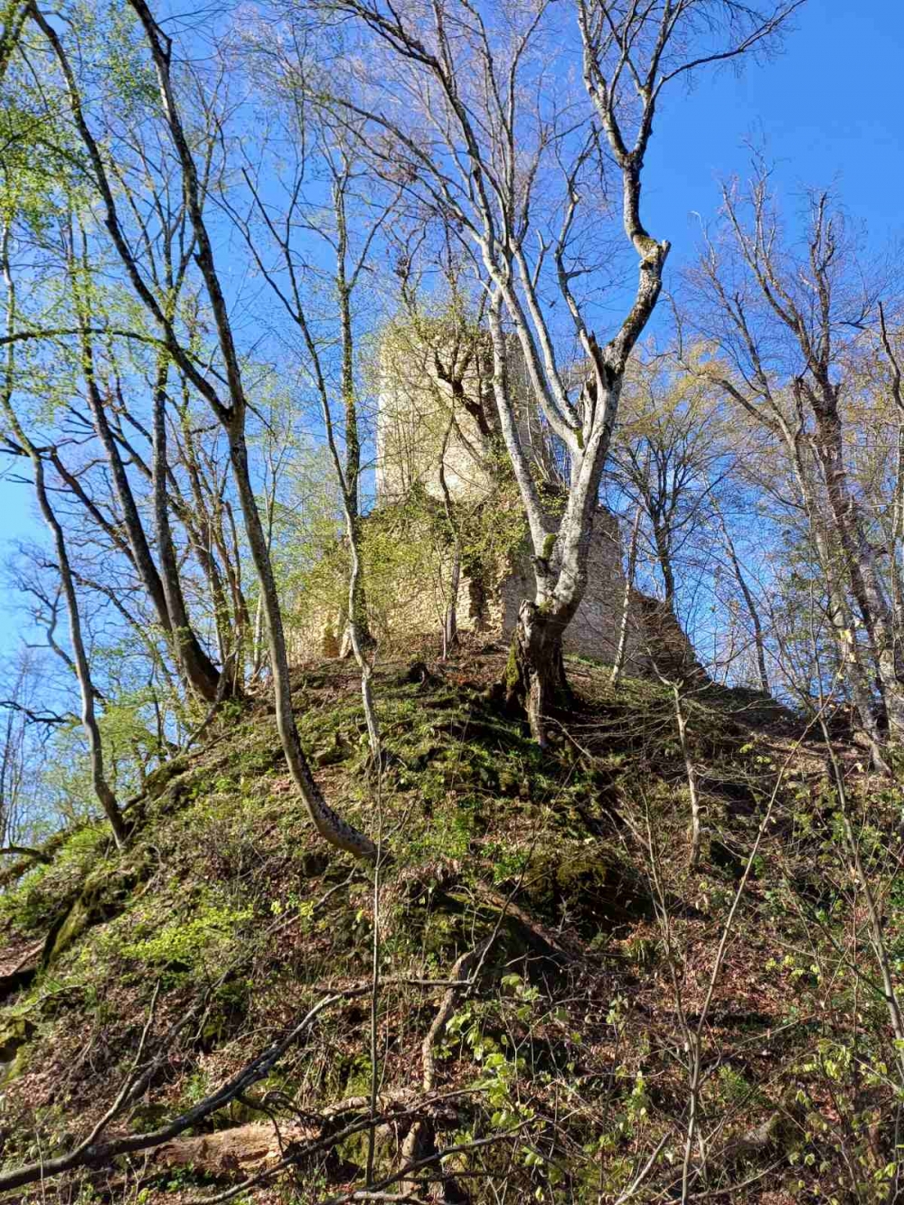 ’Gojzerice’ u nedjelju obišle Španovicu - Čaklovačku kulu - Omanovac