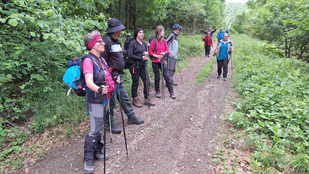 Planinari Sokolovca na pohodu kroz povijest i prirodu Požeštine