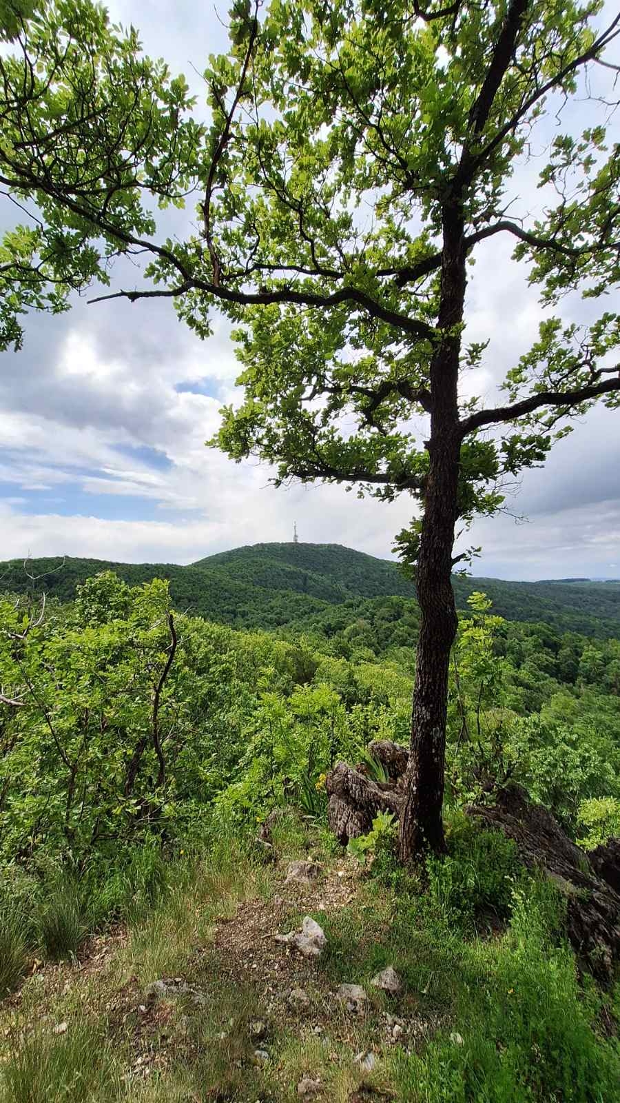 Planinari Sokolovca na pohodu kroz povijest i prirodu Požeštine