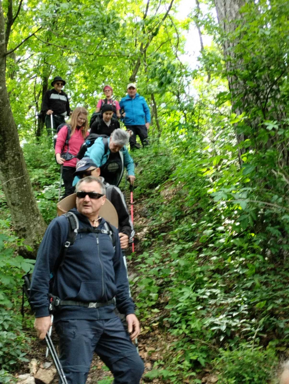 Planinari Sokolovca na pohodu kroz povijest i prirodu Požeštine
