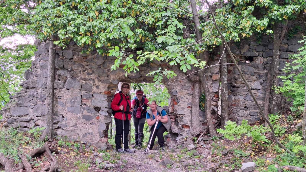 Planinari Sokolovca na pohodu kroz povijest i prirodu Požeštine