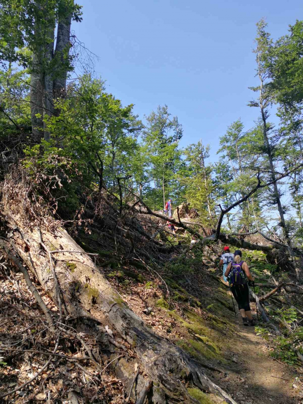 S prirodom u srcu: HPD „Sokolovac“ Požega na nezaboravnom pohodu kroz lipičke staze
