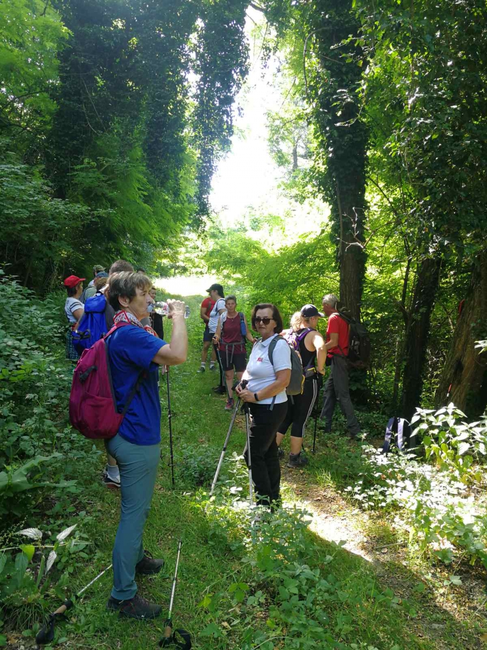 S prirodom u srcu: HPD „Sokolovac“ Požega na nezaboravnom pohodu kroz lipičke staze