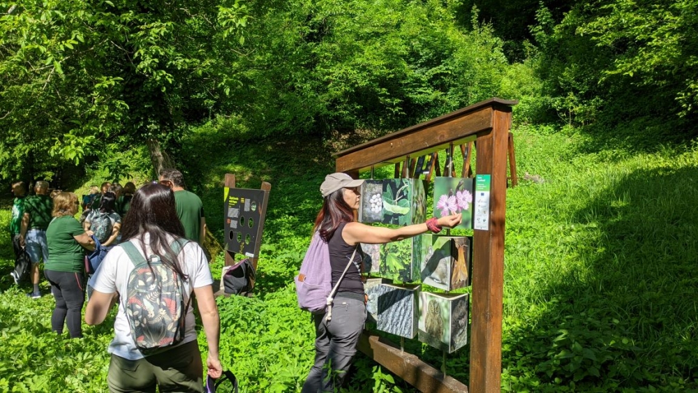 Radionica o šumskoj pedagogiji (Zelenjak - Hrvatsko Zagirje) - 14.06.2025.