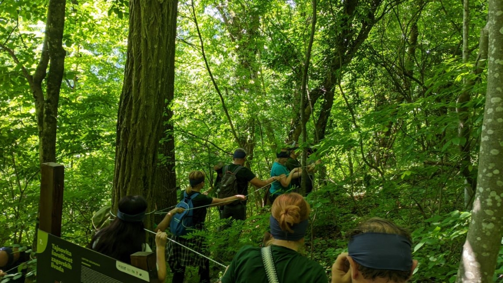 Radionica o šumskoj pedagogiji (Zelenjak - Hrvatsko Zagirje) - 14.06.2025.