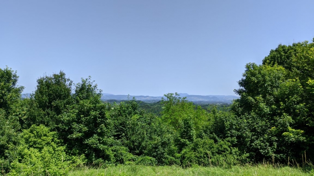 Radionica o šumskoj pedagogiji (Zelenjak - Hrvatsko Zagirje) - 14.06.2025.