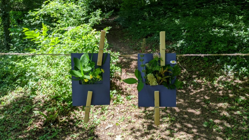 Radionica o šumskoj pedagogiji (Zelenjak - Hrvatsko Zagirje) - 14.06.2025.