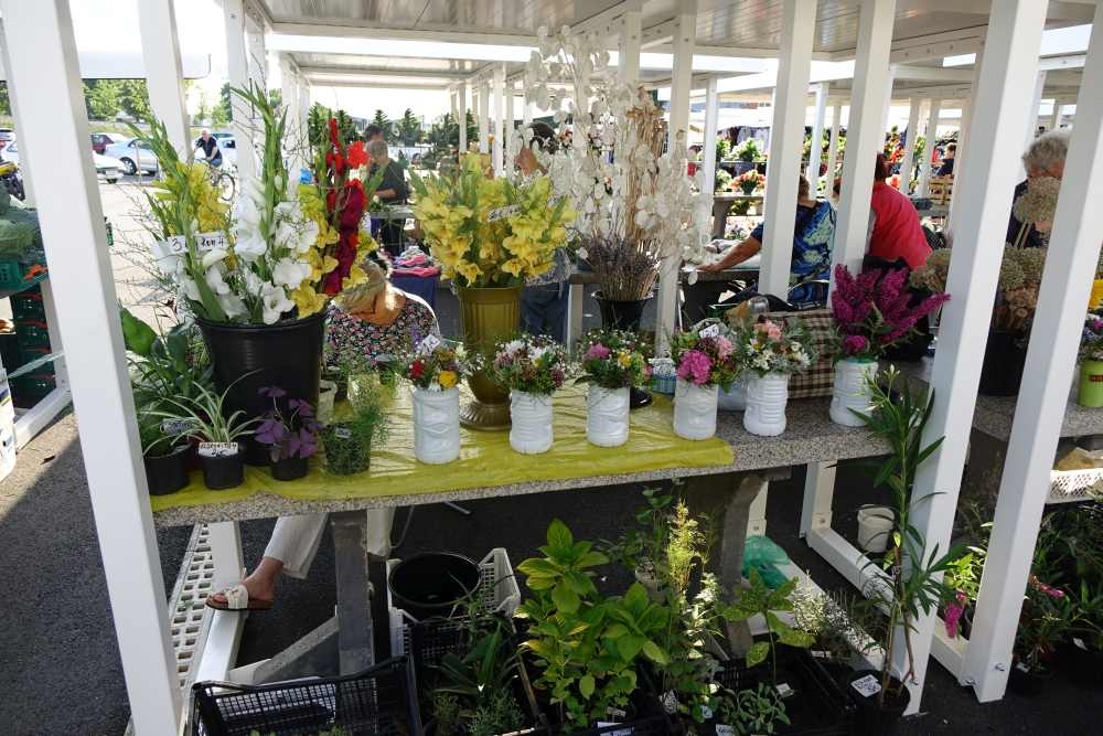 Ponuda s tržnice, 24.07.2025