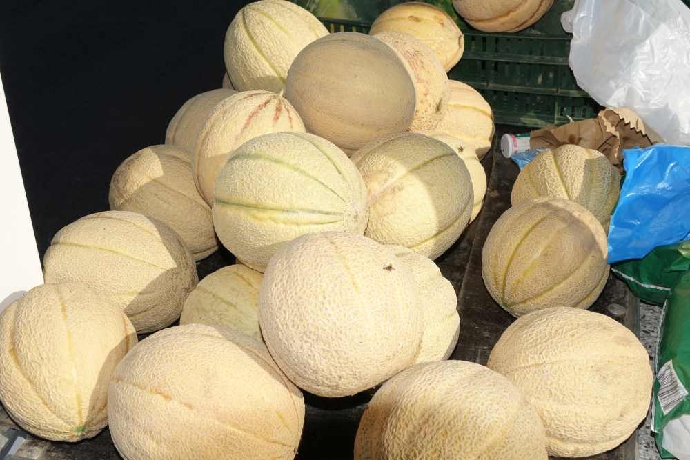 Ponuda požeške tržnice, 02.08.2025.