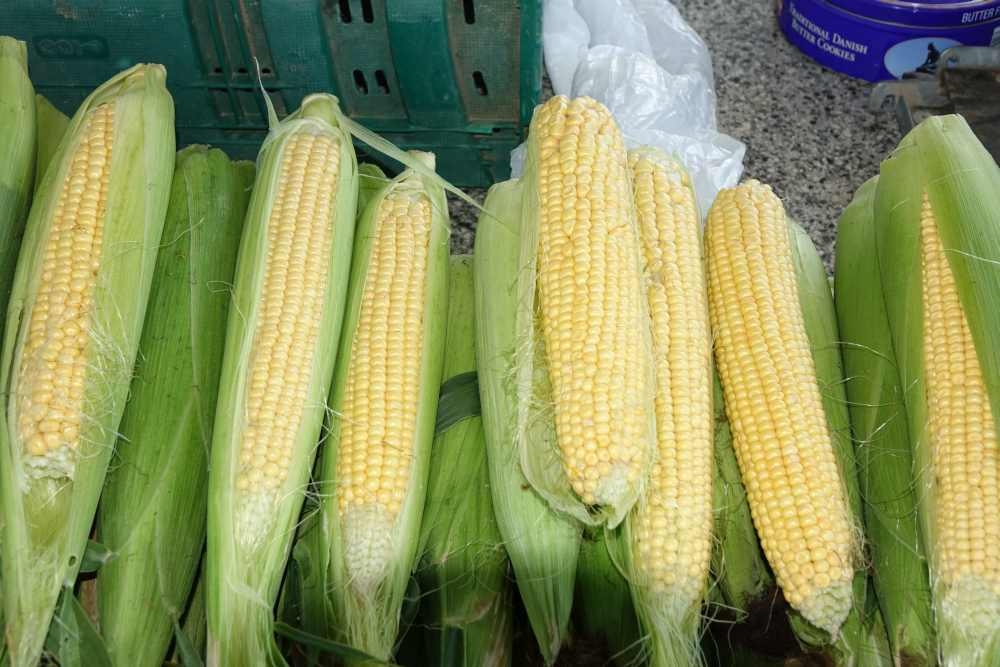 Ponuda požeške tržnice, 02.08.2025.