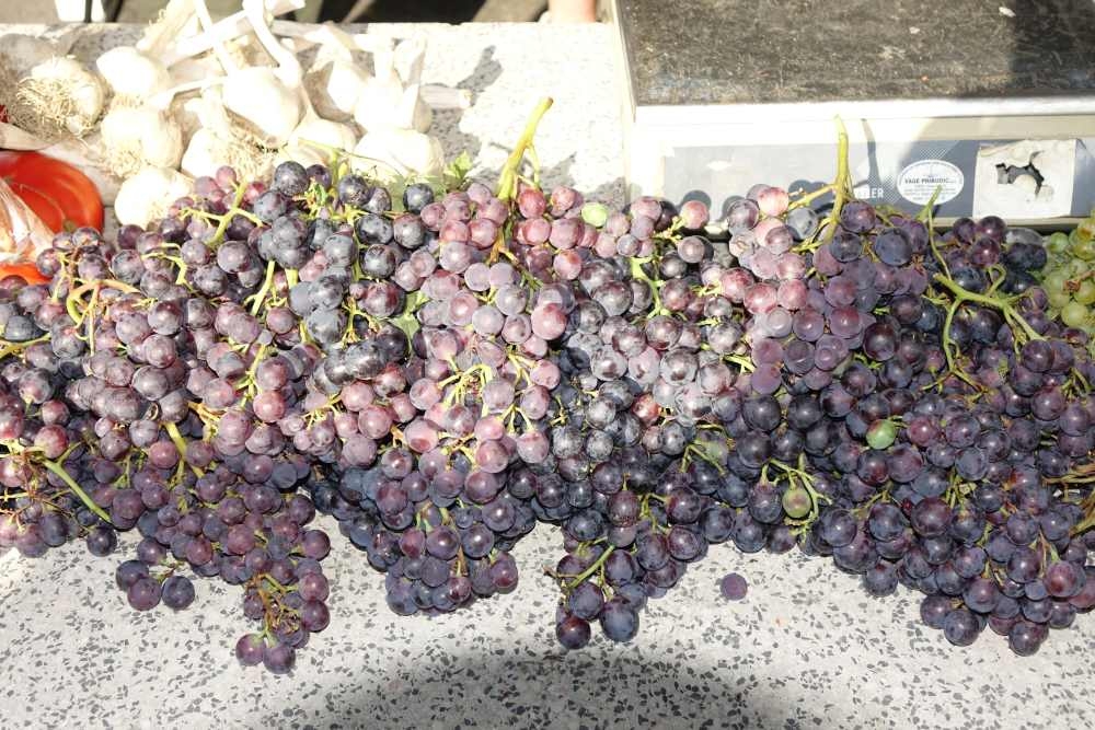 Ponuda požeške tržnice, 02.08.2025.