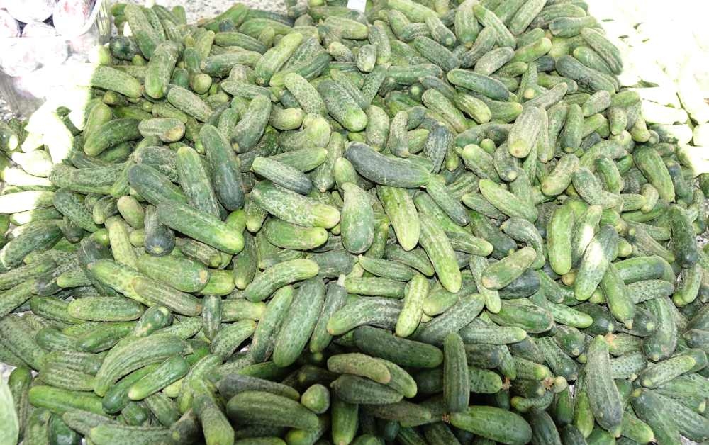 Ponuda požeške tržnice, 09. kolovoz, 2025.