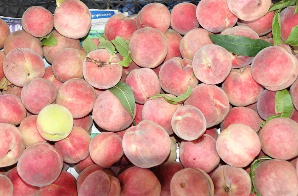 Ponuda požeške tržnice, 09. kolovoz, 2025.