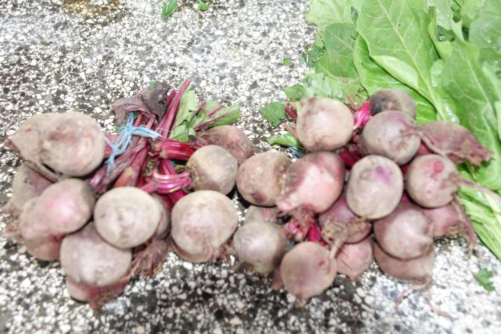 Ponuda požeške tržnice, 09. kolovoz, 2025.