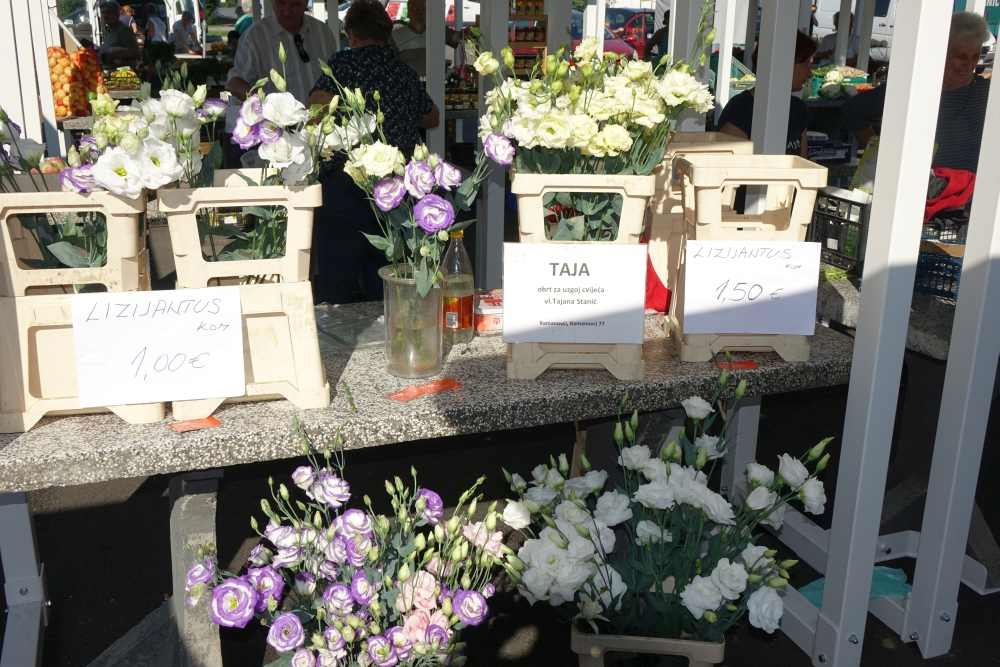 Ponuda požeške tržnice, 09. kolovoz, 2025.