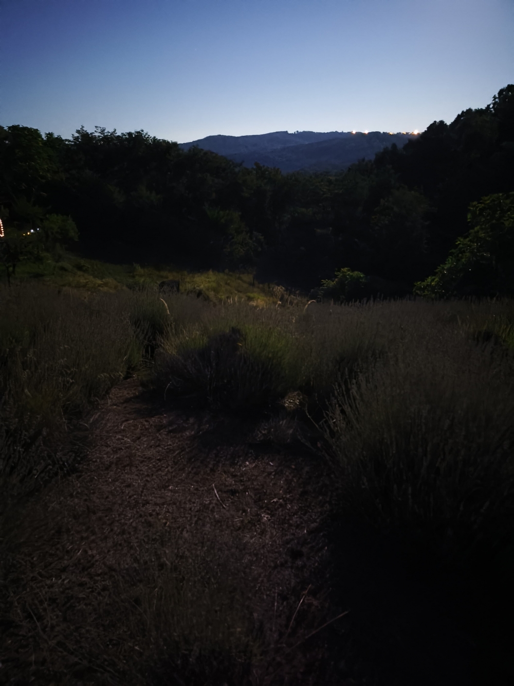 HPD Gojzerica organiziralo gledanje zvijezda padalica na Požeškoj gori