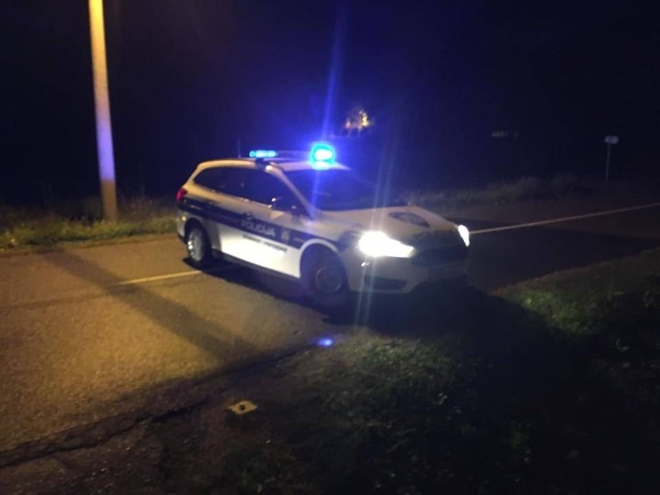 Jučer čak tri naleta vozila na životinje