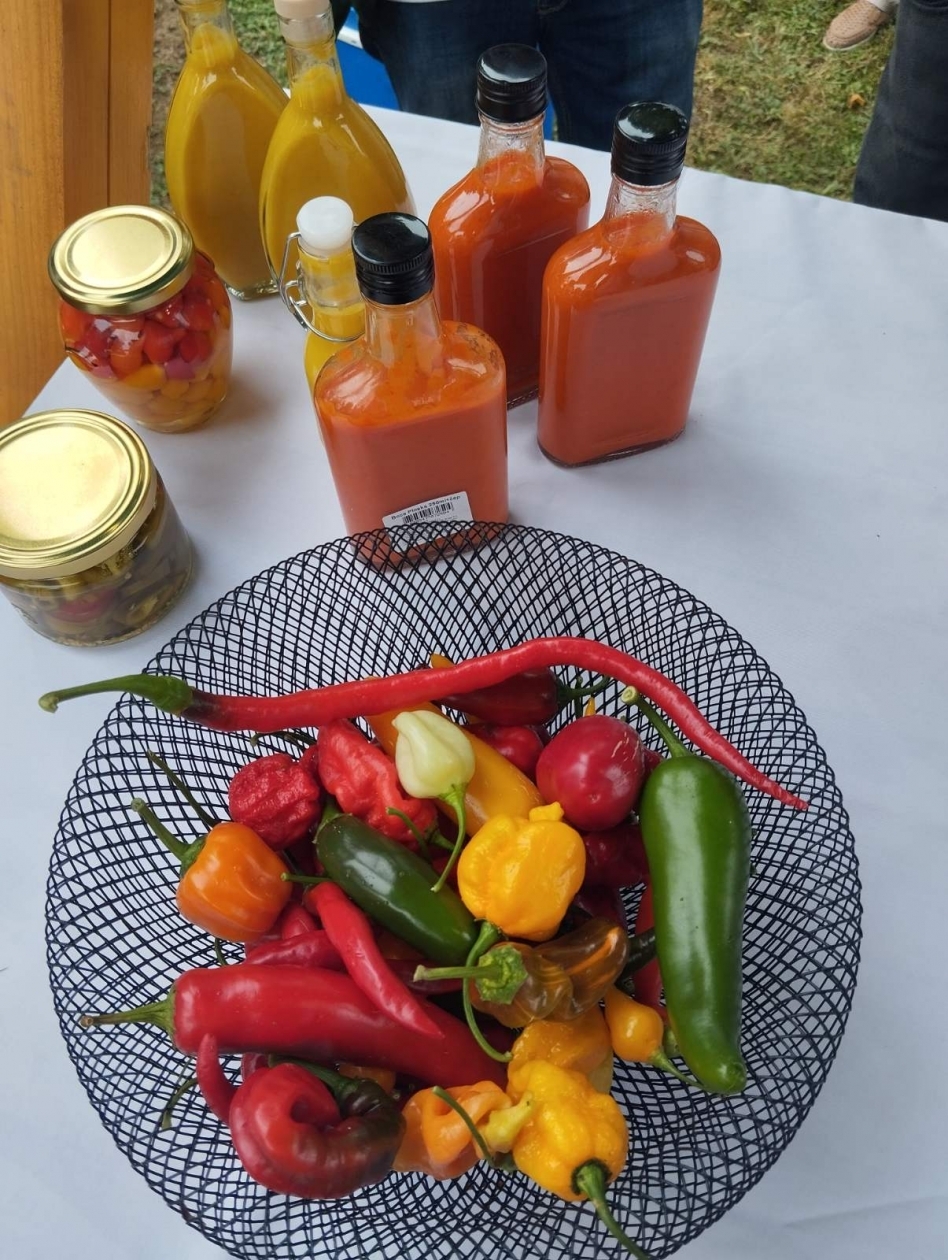 Lipički Talijani i pakrački Mađari predstavili se na „Lipovljanskim susretima“