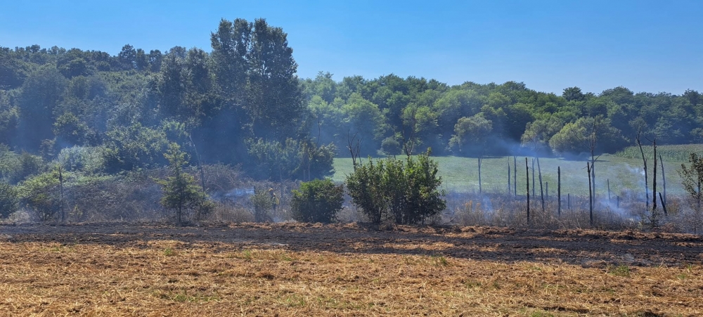 Požar na otvorenom prostoru-izgorjelo nisko raslinje