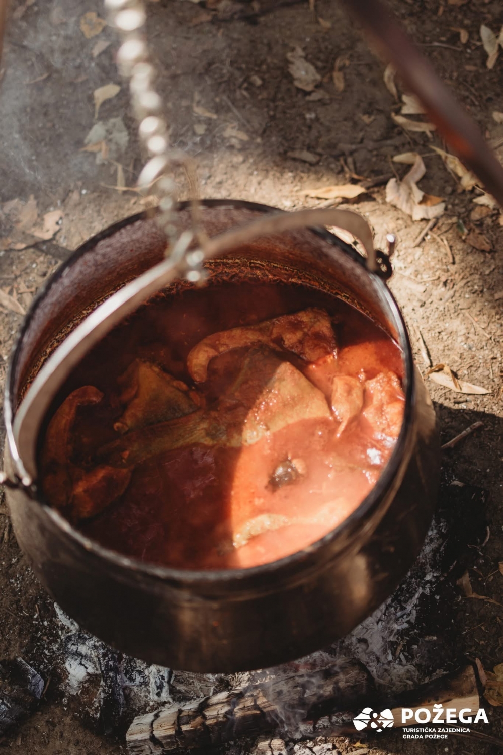 FOTO: Održana 29. Fišijada u Požegi