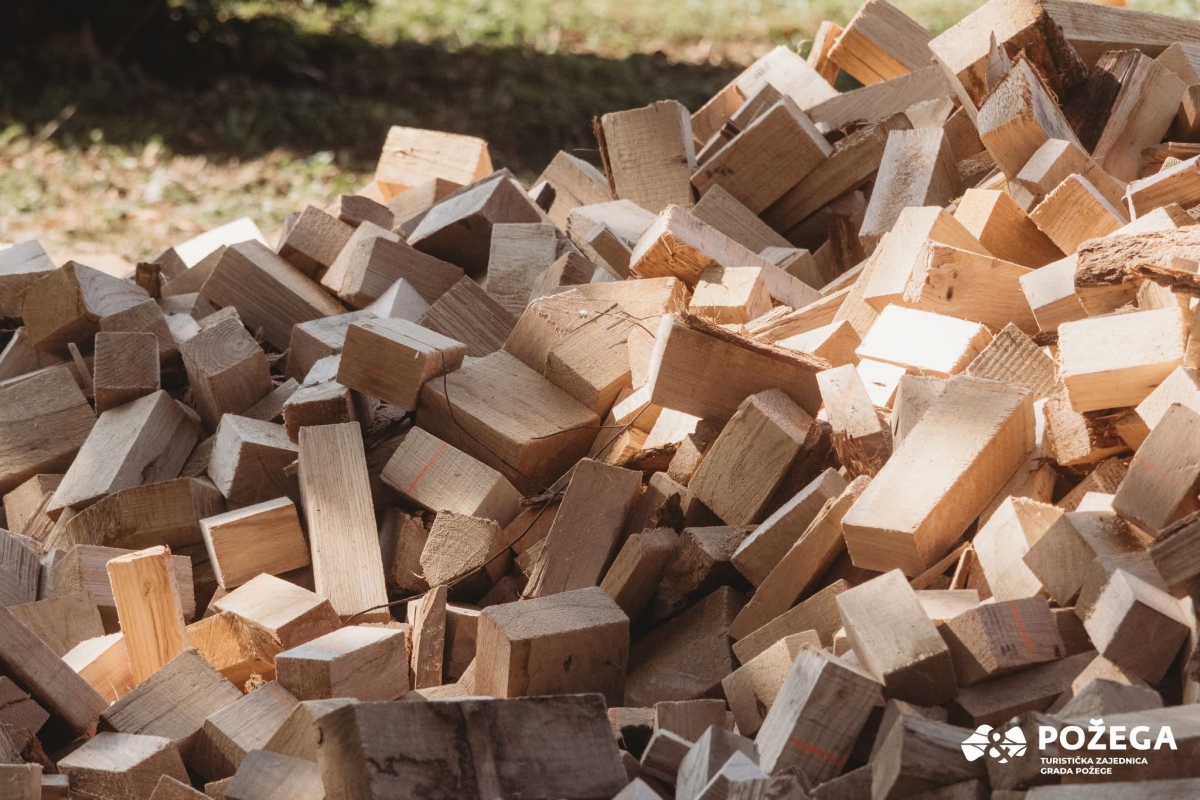 FOTO: Održana 29. Fišijada u Požegi