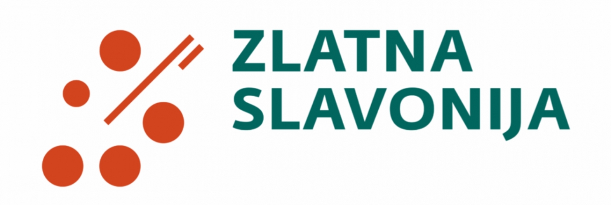 Prva večer festivala Zlatne žice Slavonije: Najgizdavija Šokica Angela Butorac, u finalu Divne godine