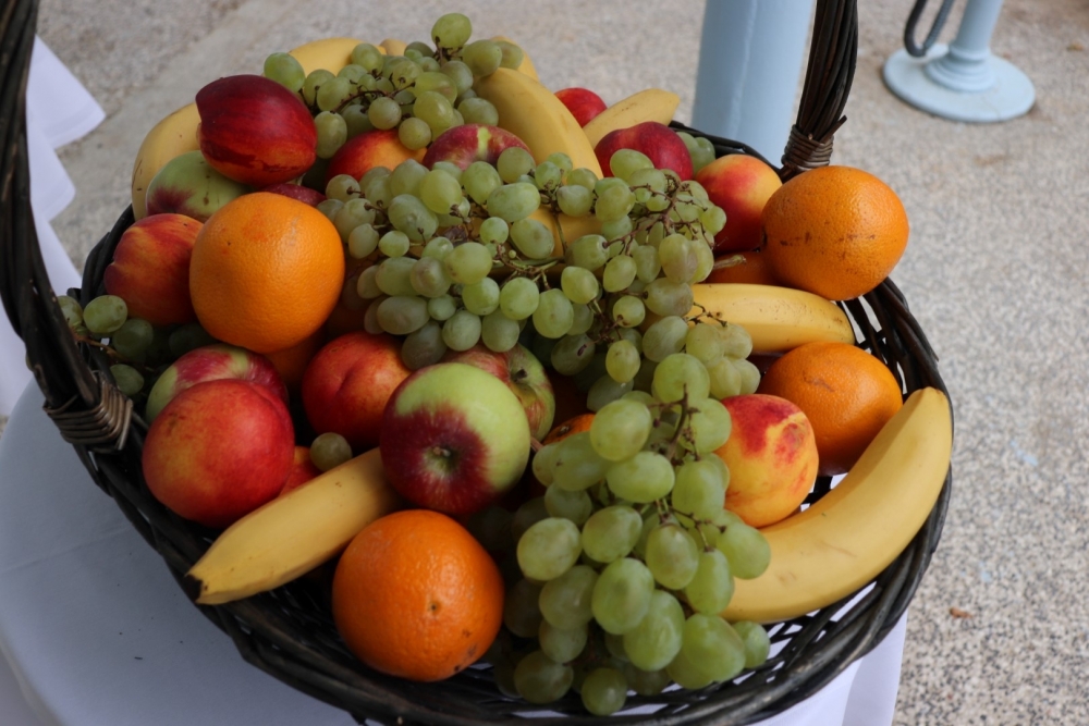 Toplice Lipik obilježile Svjetski dan fizioterapeuta