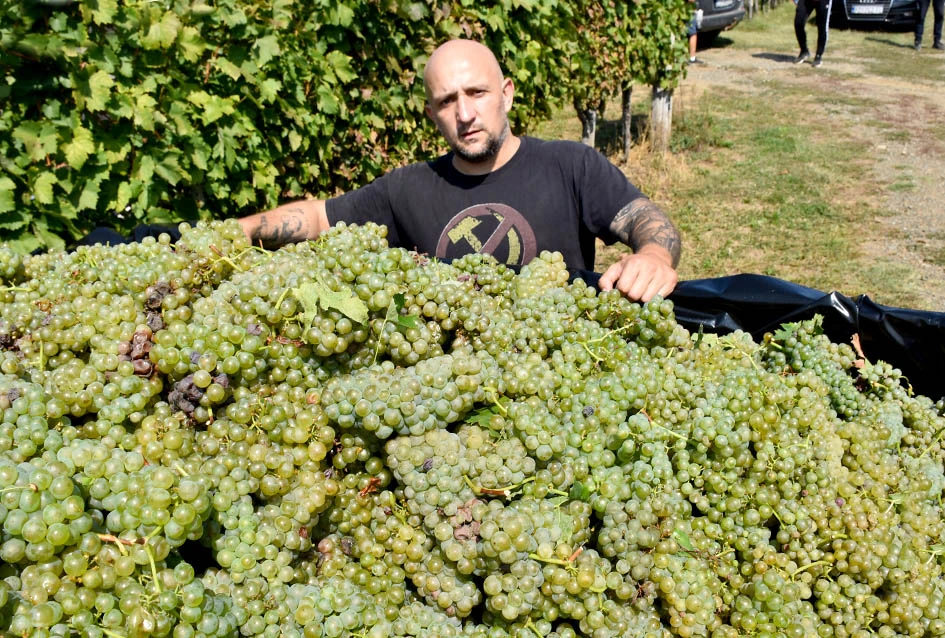 Među beračima kod Majstorovićevih i kutjevački gradonačelnik Josip Budimir