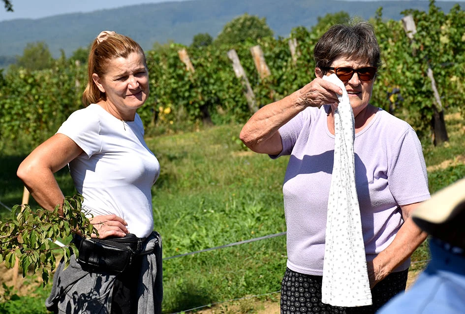 Među beračima kod Majstorovićevih i kutjevački gradonačelnik Josip Budimir
