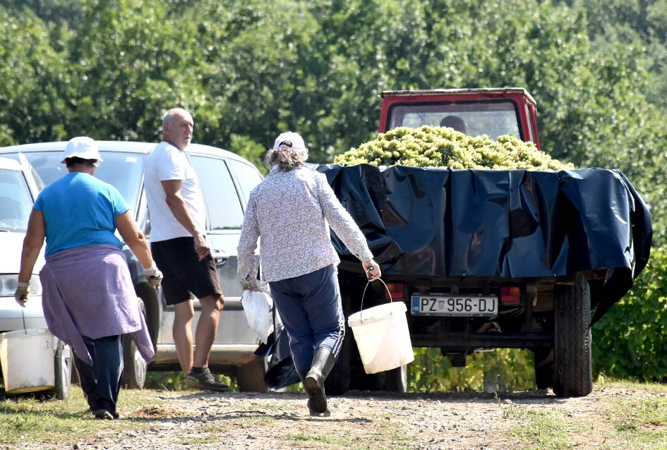 Među beračima kod Majstorovićevih i kutjevački gradonačelnik Josip Budimir
