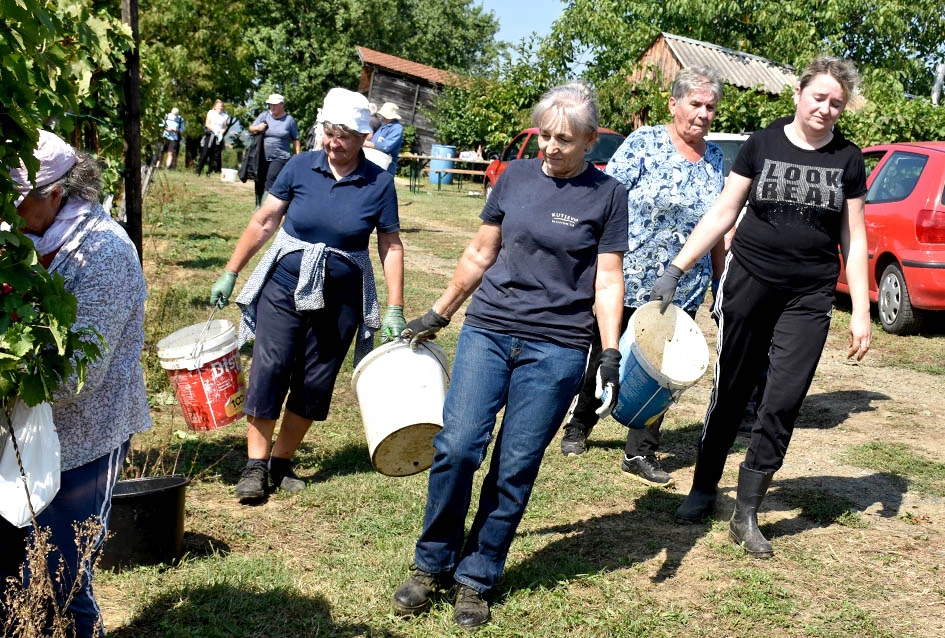 Među beračima kod Majstorovićevih i kutjevački gradonačelnik Josip Budimir