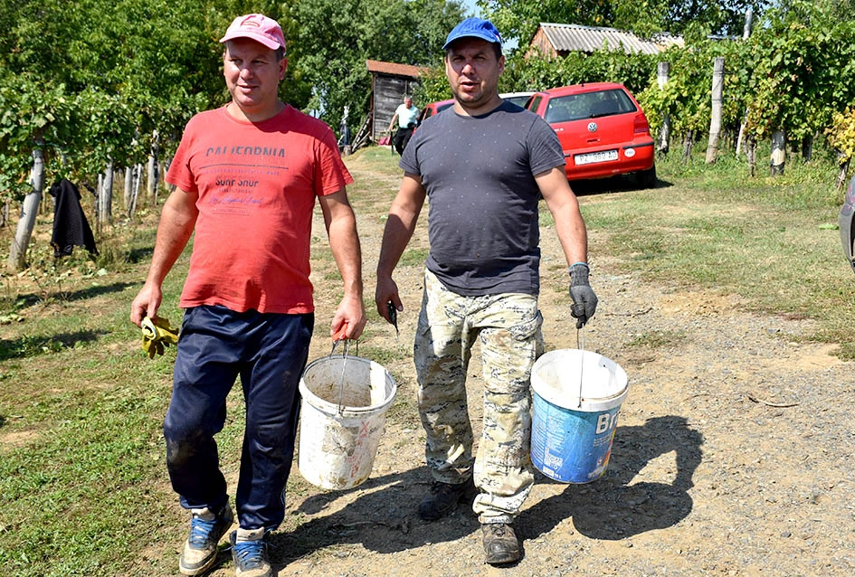 Među beračima kod Majstorovićevih i kutjevački gradonačelnik Josip Budimir