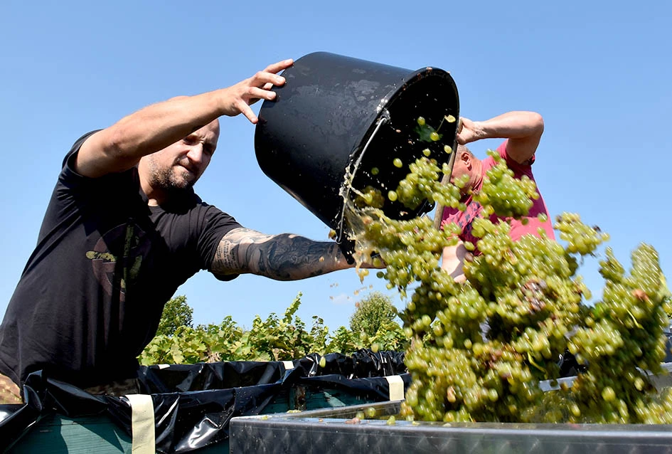 Među beračima kod Majstorovićevih i kutjevački gradonačelnik Josip Budimir