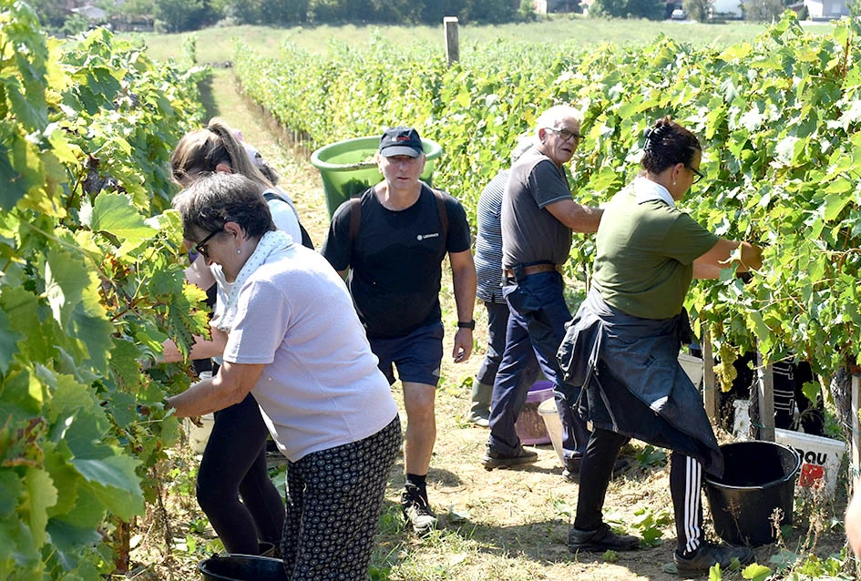 Među beračima kod Majstorovićevih i kutjevački gradonačelnik Josip Budimir