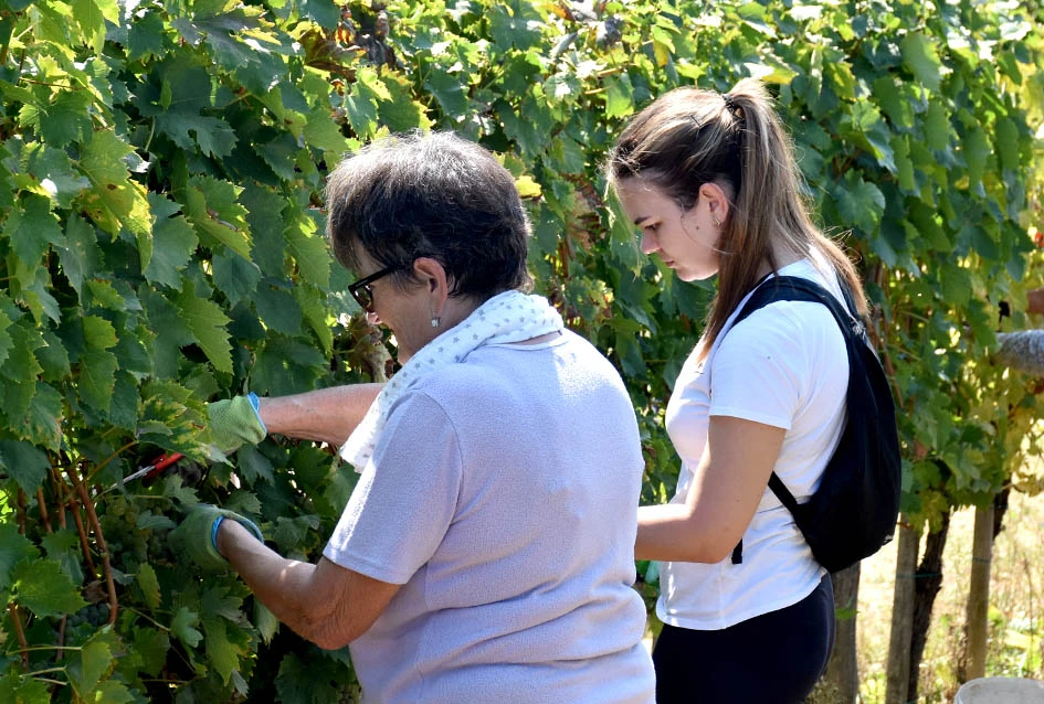 Među beračima kod Majstorovićevih i kutjevački gradonačelnik Josip Budimir
