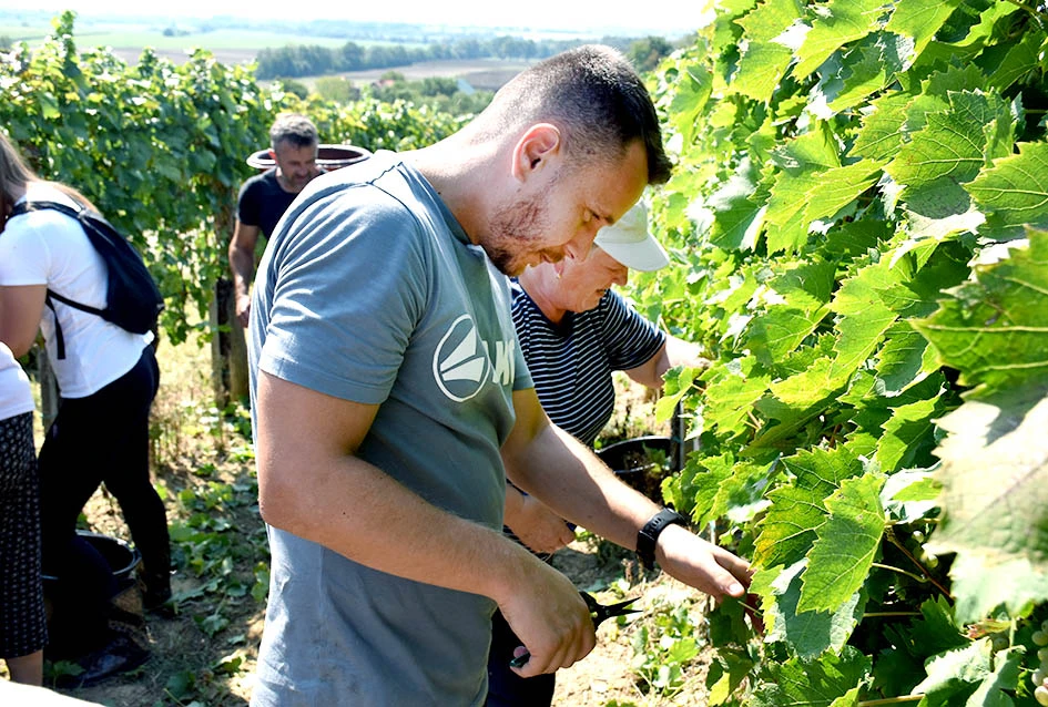Među beračima kod Majstorovićevih i kutjevački gradonačelnik Josip Budimir