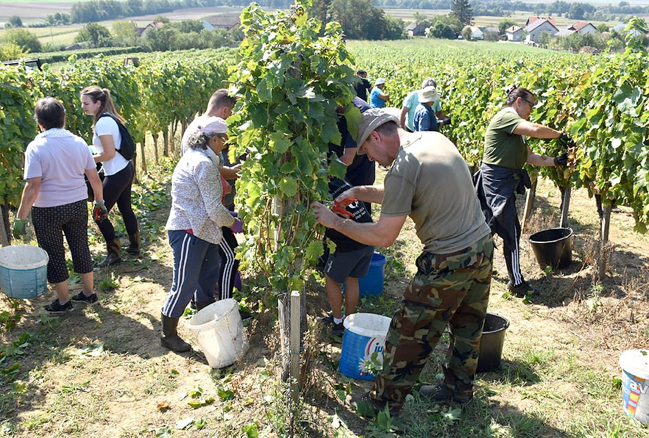 Među beračima kod Majstorovićevih i kutjevački gradonačelnik Josip Budimir