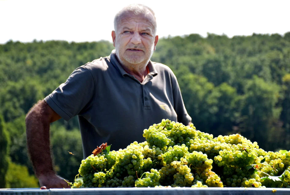 Među beračima kod Majstorovićevih i kutjevački gradonačelnik Josip Budimir