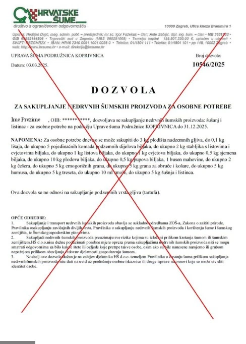 Zbog afričke svinjske kuge zabranjeno skupljanje gljiva u slavonskim šumama