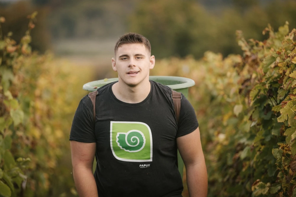 [FOTO] Završetak berbe u Vinariji Majetić