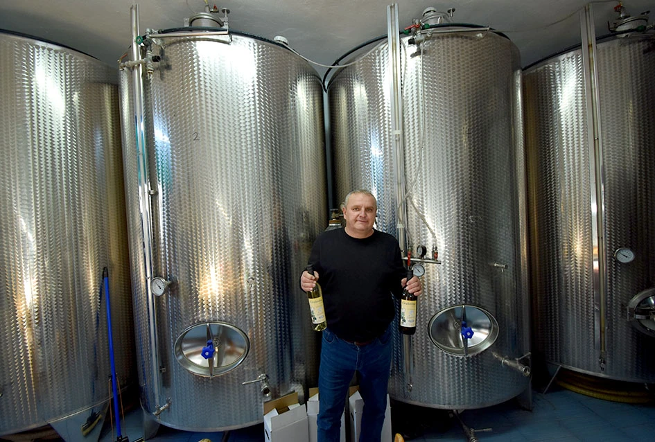 Rekordna berbu grožđa biškupačke obitelji Mije Šolčića  