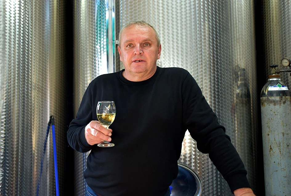 Rekordna berbu grožđa biškupačke obitelji Mije Šolčića  