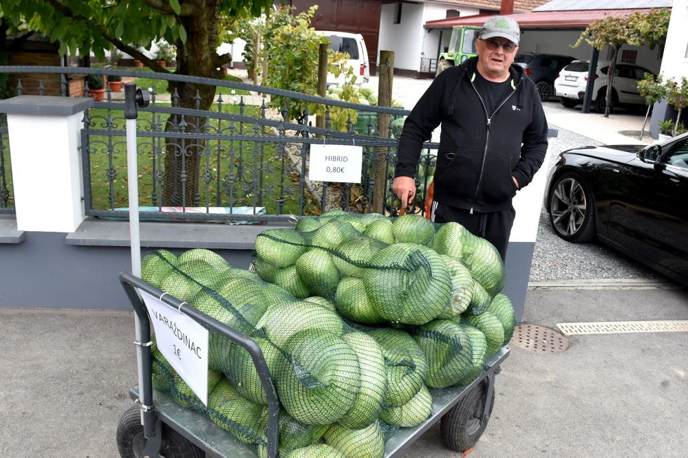 Ciganovići iz Alilovaca: Uzorna obitelj proizvođača kupusa koja spaja tradiciju i suvremenu tehnologiju