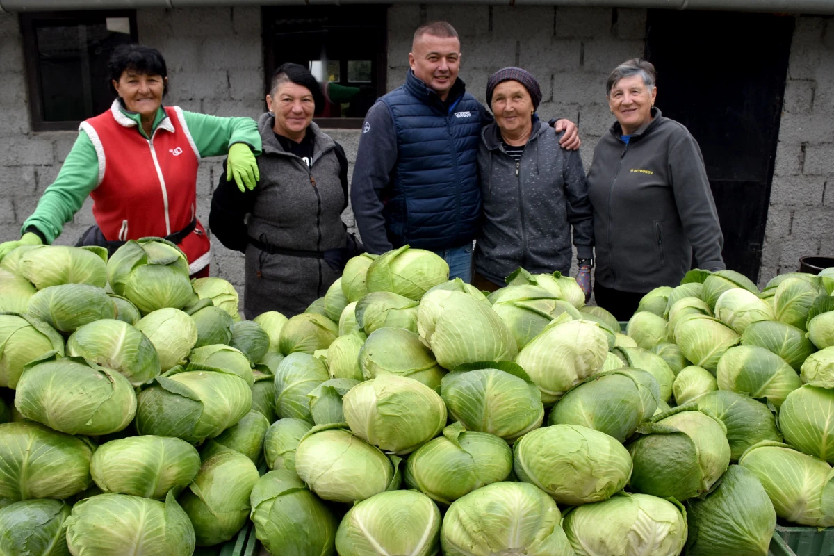 Ciganovići iz Alilovaca: Uzorna obitelj proizvođača kupusa koja spaja tradiciju i suvremenu tehnologiju