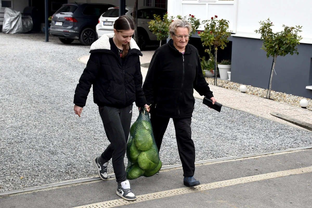 Ciganovići iz Alilovaca: Uzorna obitelj proizvođača kupusa koja spaja tradiciju i suvremenu tehnologiju