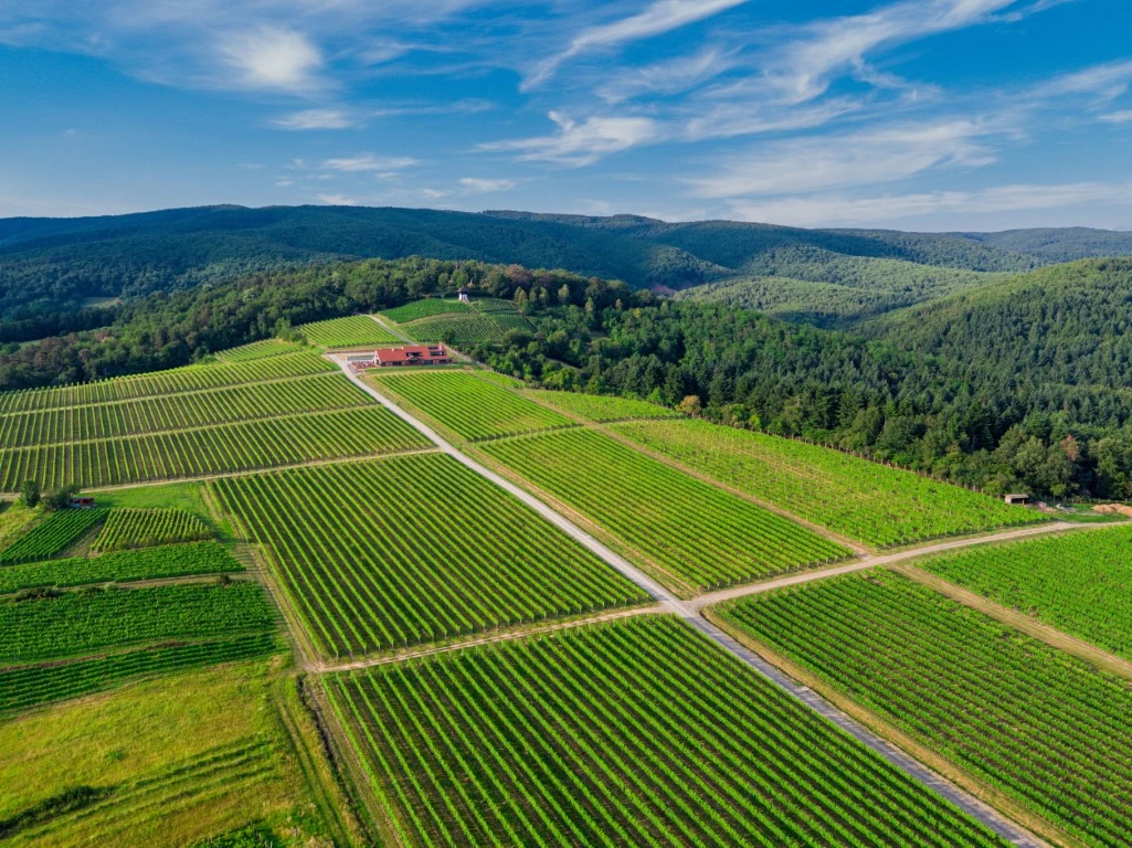 Restoran Slavonska Kuća Vinkomir među 100 vodećih hrvatskih restorana