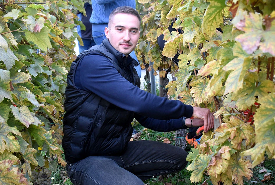 Graševina s Trga: Svečani završetak berbe u srcu Kutjeva na kojoj je za novog vincilira izabran Ante Paulić