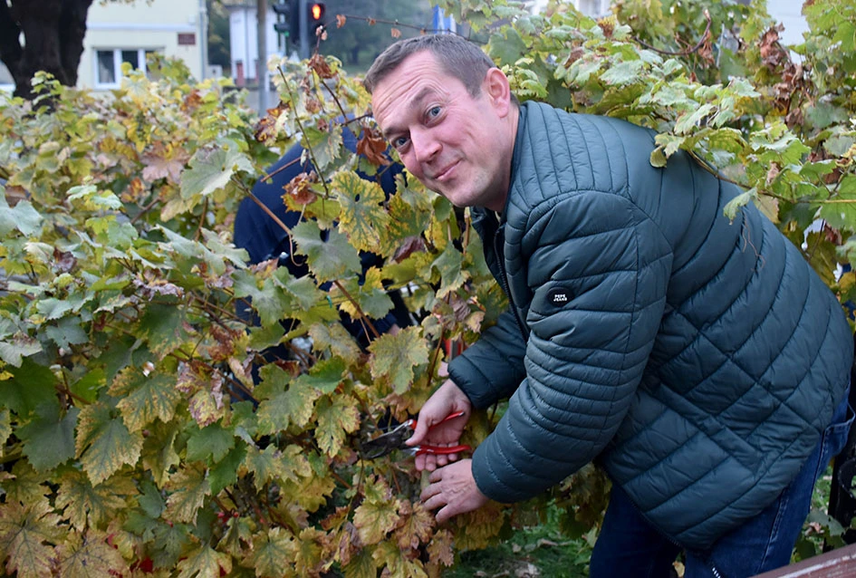 Graševina s Trga: Svečani završetak berbe u srcu Kutjeva na kojoj je za novog vincilira izabran Ante Paulić