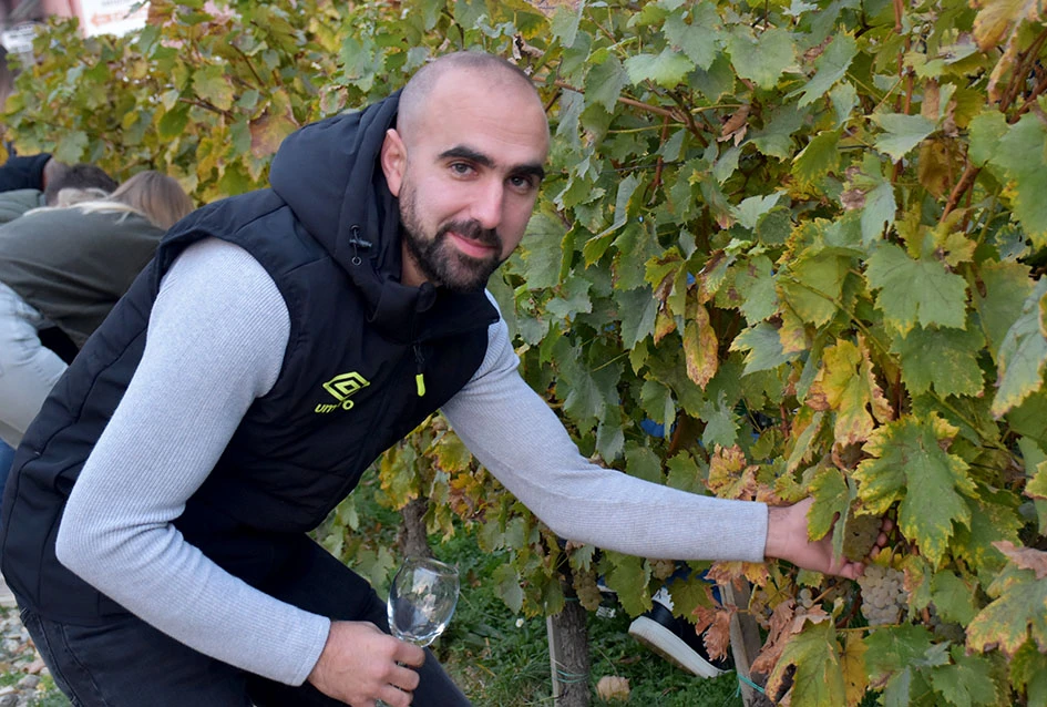 Graševina s Trga: Svečani završetak berbe u srcu Kutjeva na kojoj je za novog vincilira izabran Ante Paulić