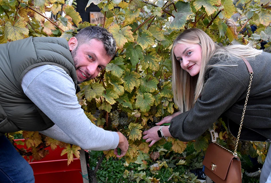 Graševina s Trga: Svečani završetak berbe u srcu Kutjeva na kojoj je za novog vincilira izabran Ante Paulić